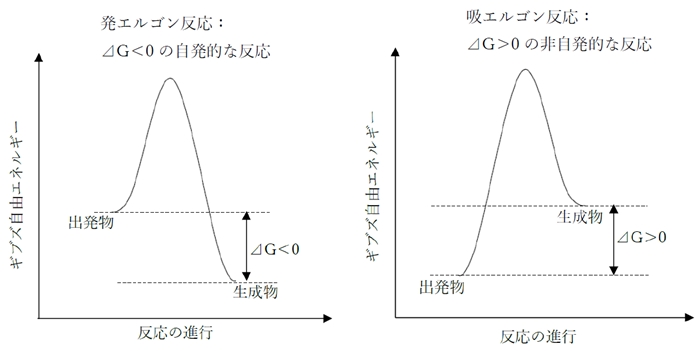 SN1・SN2　エネルギー図，律速段階，遷移状態，立体　105回問103